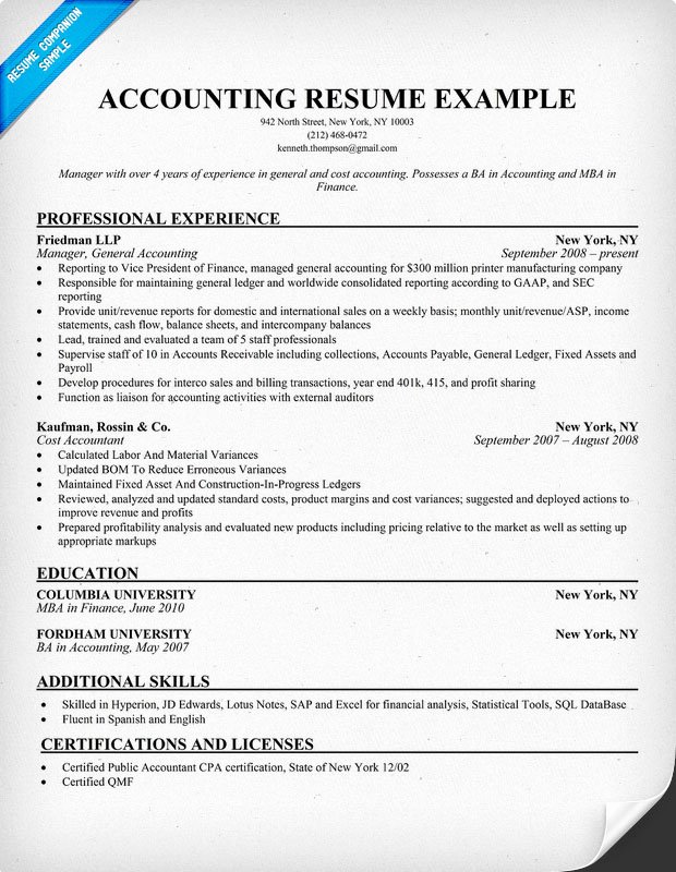 Professional Accounting Resume Template