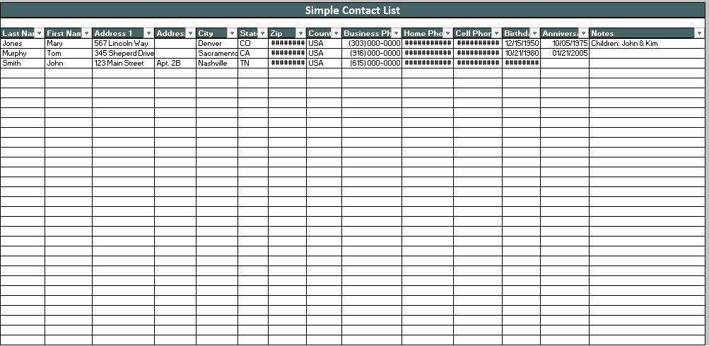 Professional Business Contact List Template Excel and Word