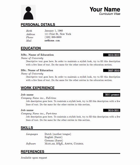 Professional Cv format In Ms Word Doc Free Download Pdf