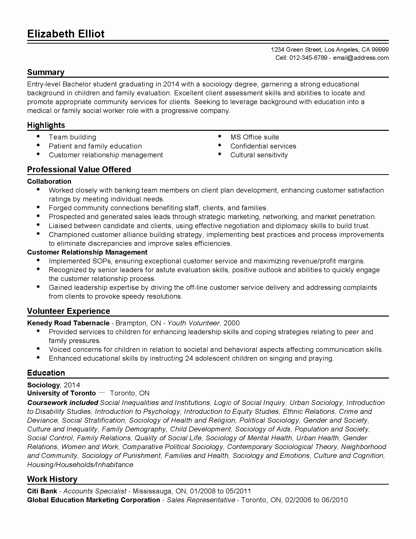 Professional Entry Level social Worker Templates to