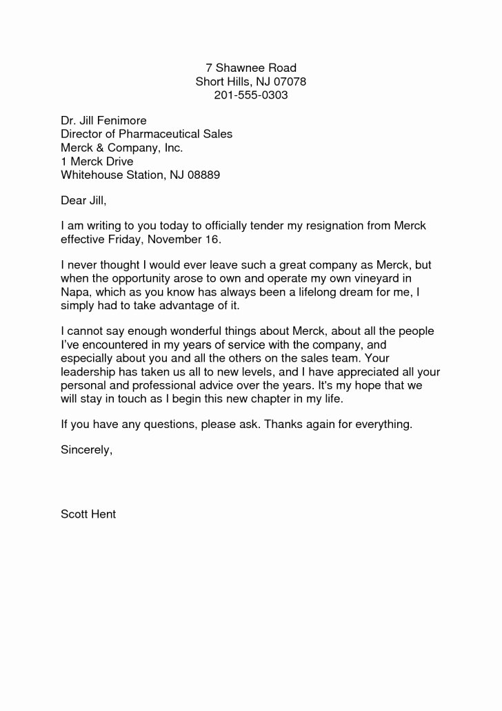 Professional Resignation Letter Template Template Job