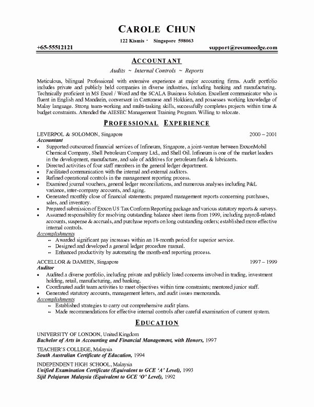 Professional Resume Example Learn From Professional