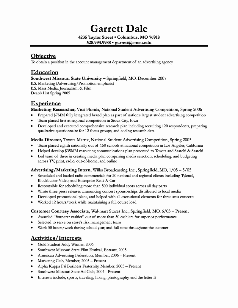 Professional Resume Examples 2016 2017