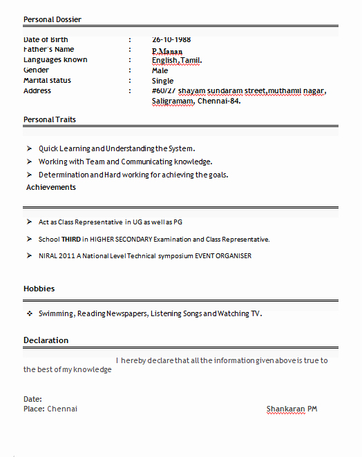 Professional Resume format for Freshers