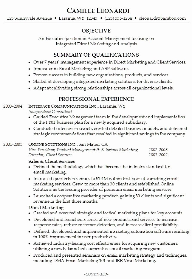 Professional Resume Summary 2016 Samplebusinessresume