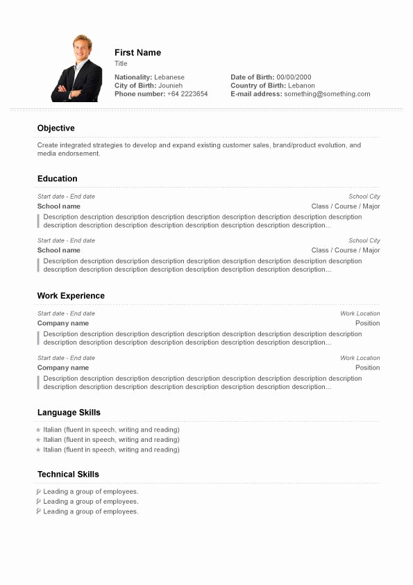 Professional Resume Template 10 Resume Cv