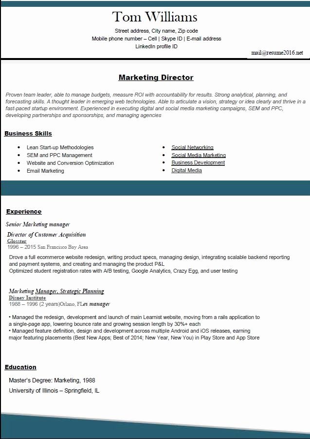 professional resume template 2016