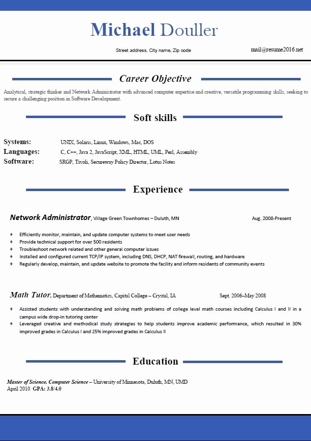 Professional Resume Template 2016