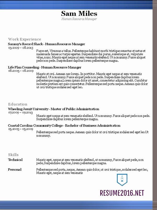 Professional Resume Template 2016