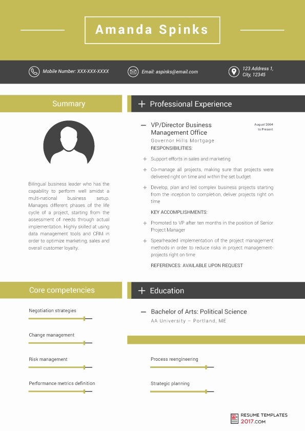 Professional Resume Template 2017