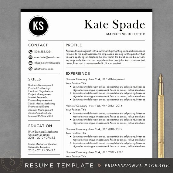 Professional Resume Template Cv Template Mac or Pc for