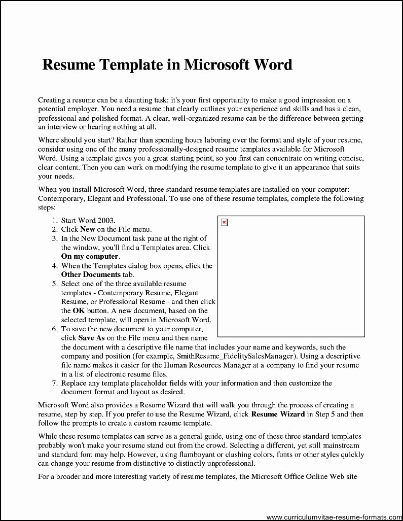 Professional Resume Template Microsoft Word 2007 Free