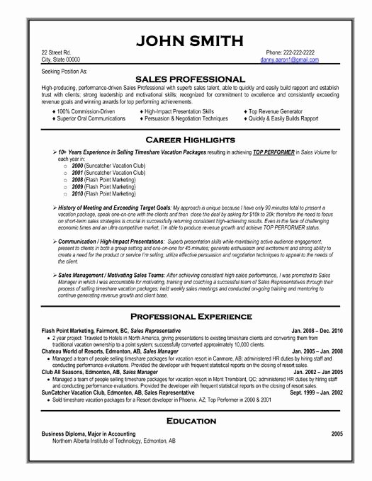 Professional Resume Template Resume Cv