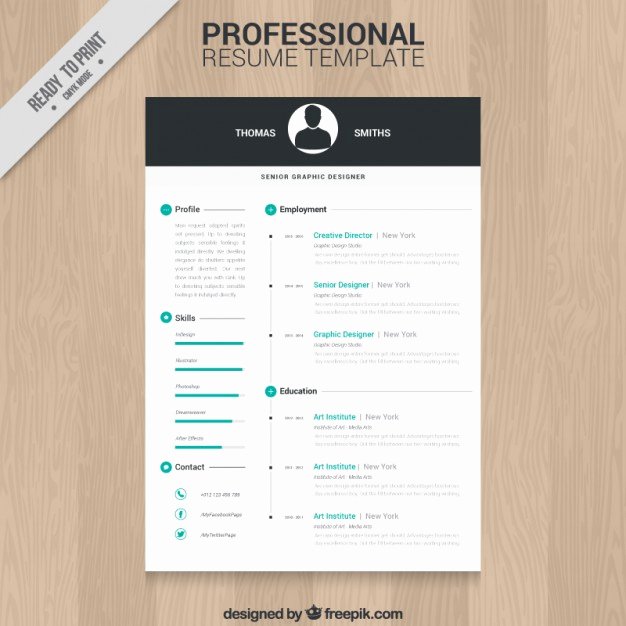 Professional Resume Template Vector
