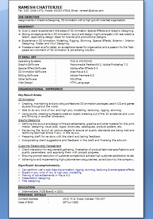 Professional Resume Template Word 2010