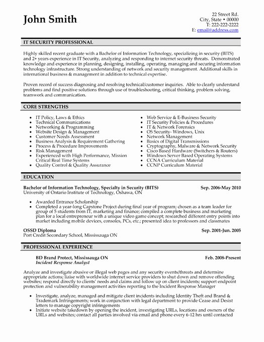 Professional Resume Templates Cv Template Resume Examples