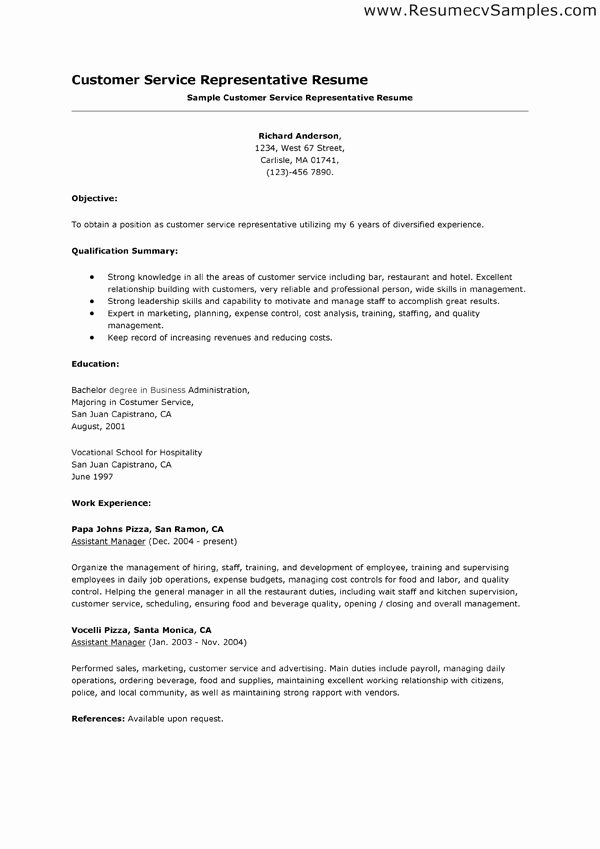 Professional Summary for Customer Service Resume Summary