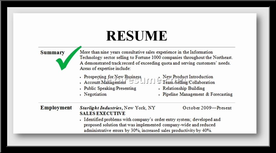 professional summary on resume 1950