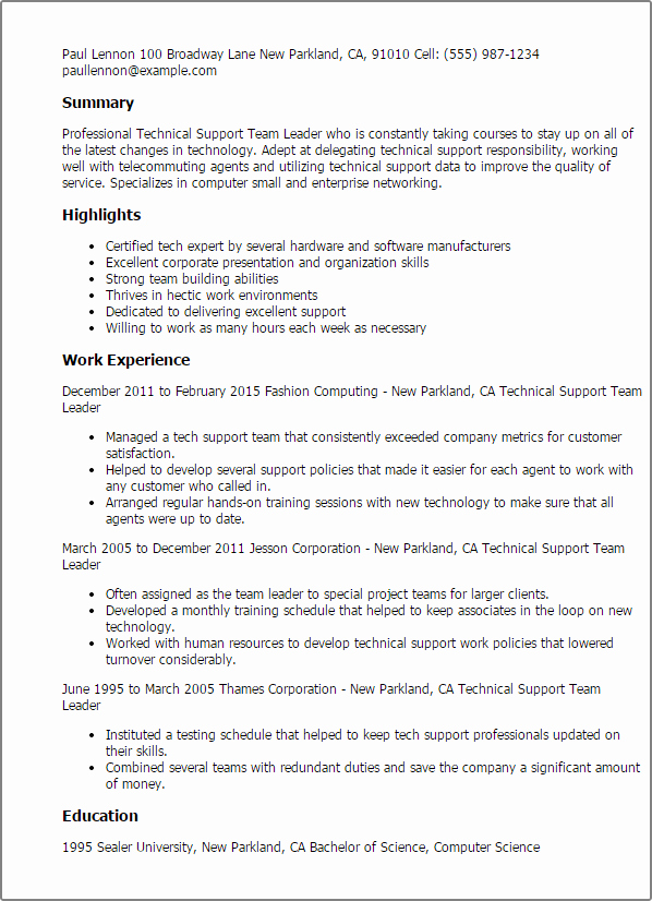 Professional Technical Support Team Leader Templates to