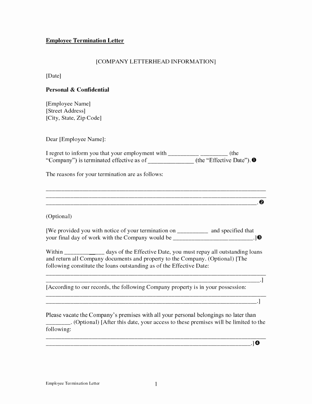 Professional Termination Letter for Employment with Reason