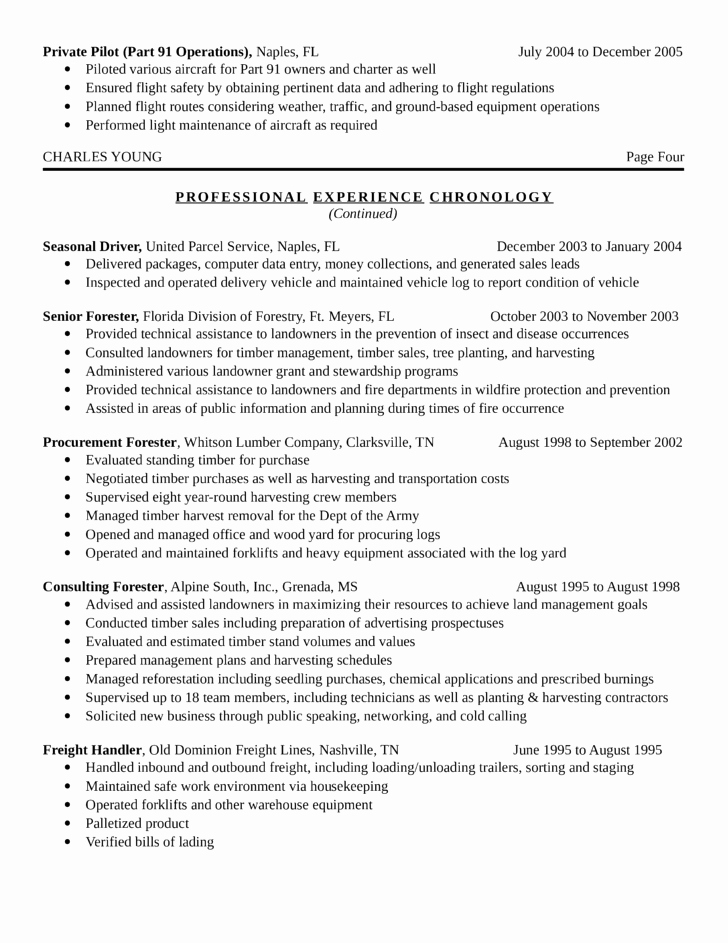 Professional Travel Agent Resume Template