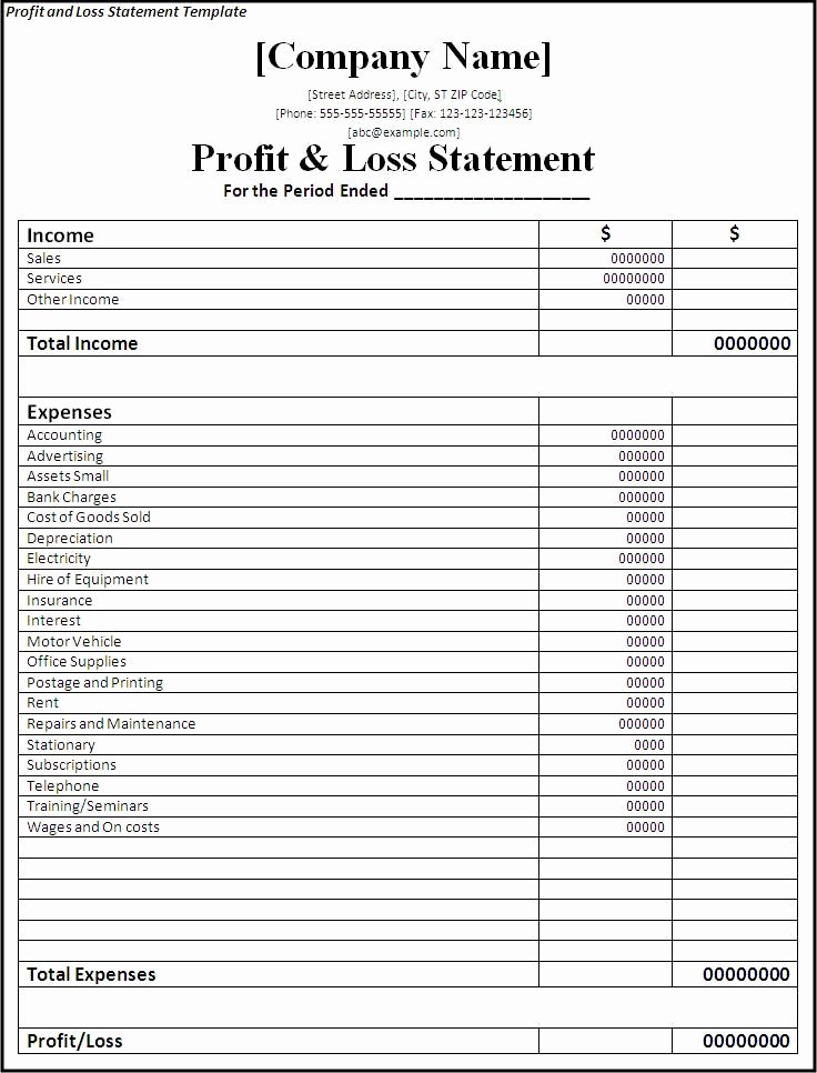 Profit and Loss Statement form Printable