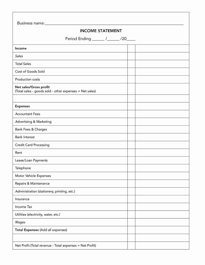 Profit and Loss Statement Template In E Statement