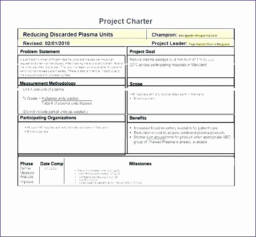 Project Charter Template Pdf Medium to Size