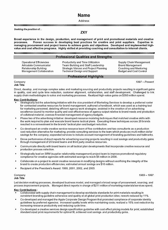 project management executive resume example