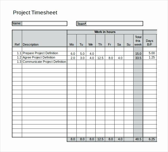 Project Management Reporting software Excel Template with