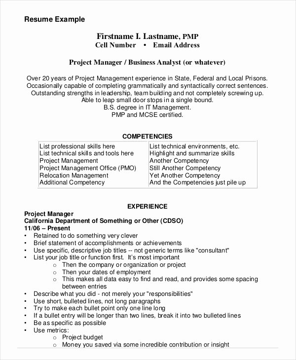 Project Management Resume Example 10 Free Word Pdf
