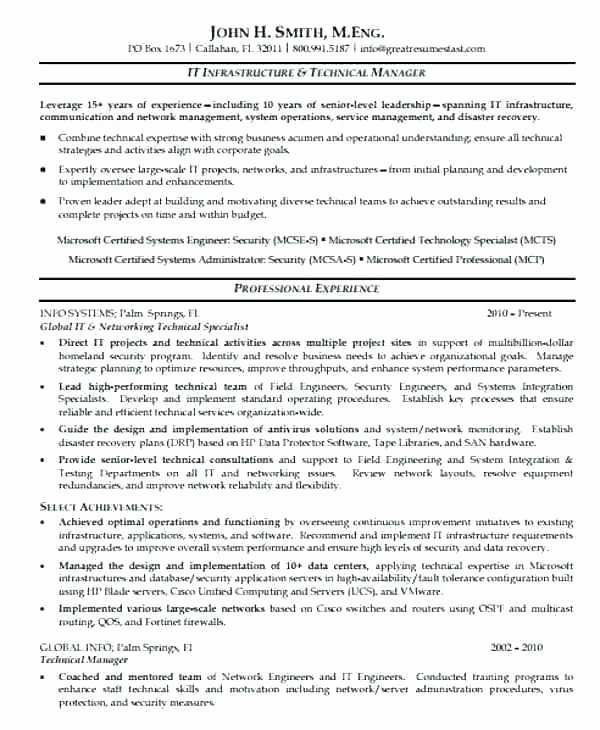 Project Manager Resume Objective Statement Resume