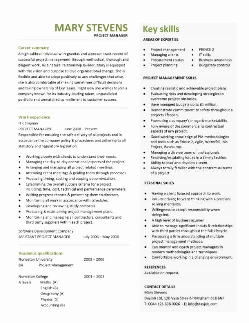 Project Manager Resume Templates