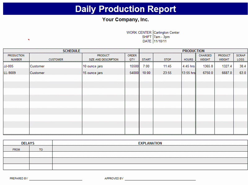 Project Performance Tracking and Reporting Template