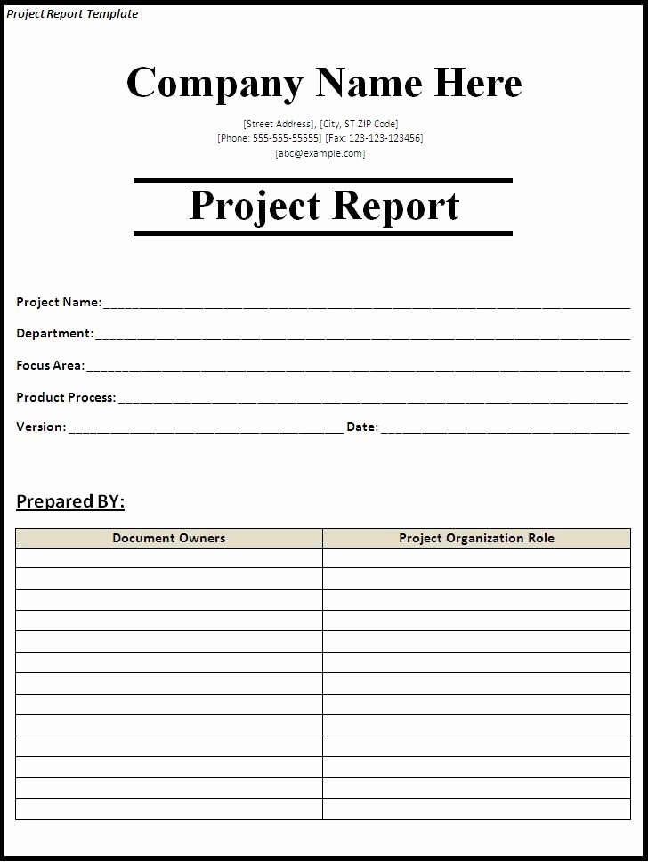 Project Status Report Template Project Report Template