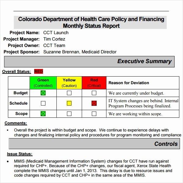 Project Status Report Template Red Yellow Green