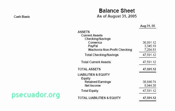 Pto Treasurer Non Profit All Treasurers Report Template