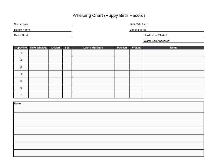 Dog Vaccination Record Template