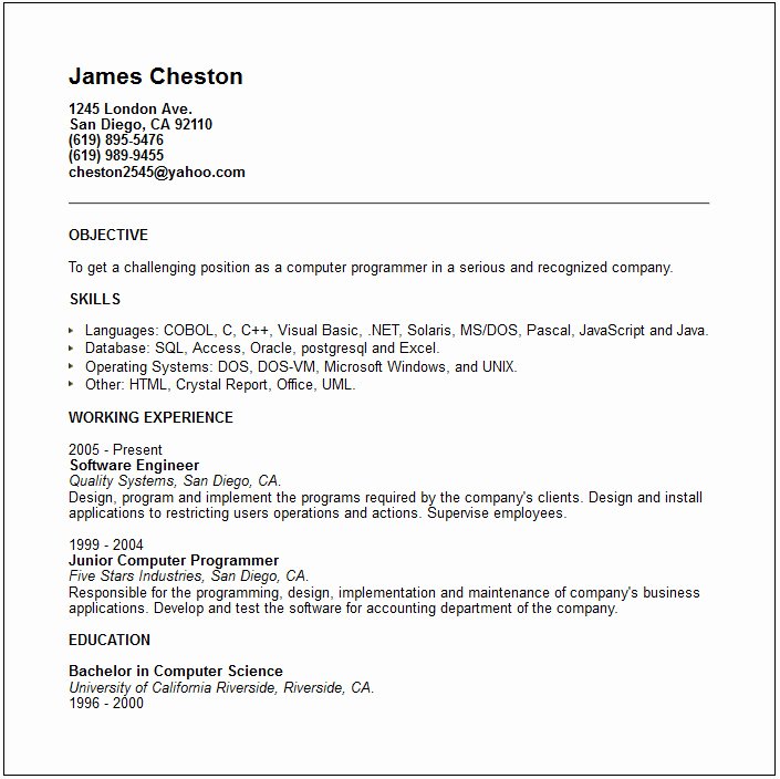 Puter Programmer Resume Example Free Templates Collection