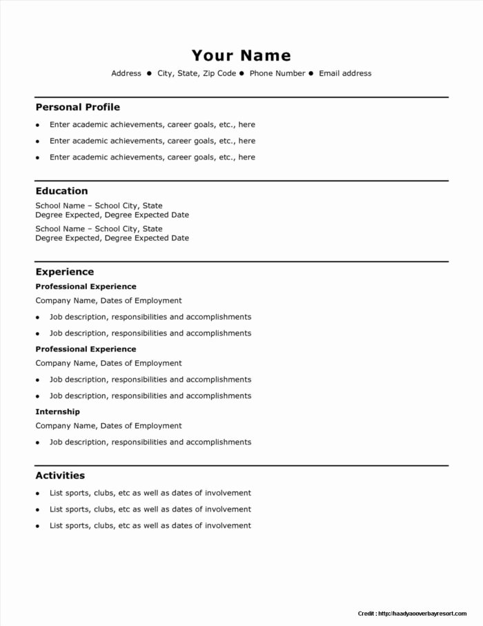 Quick Resume Template Free Resume Resume Examples