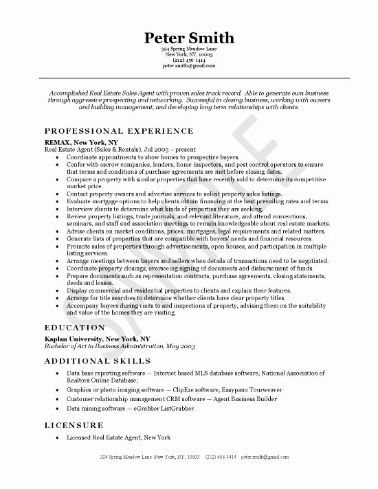 Real Estate Agent Resume Example Sample