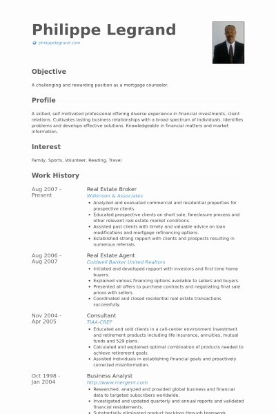 Real Estate Agent Resume Sample