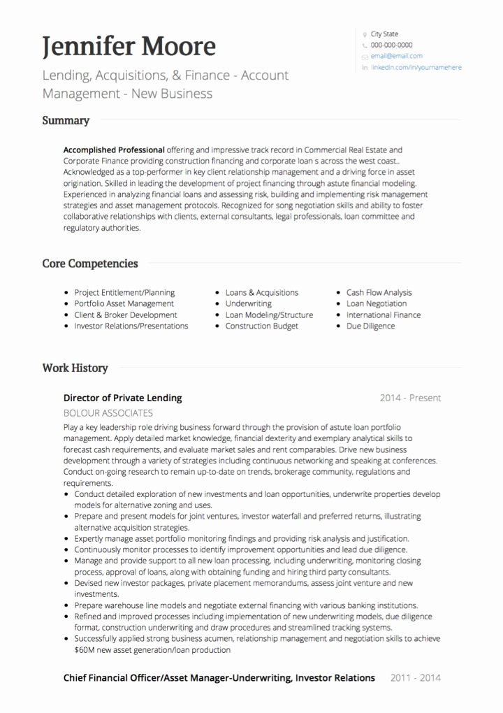 Real Estate Cv Examples and Template
