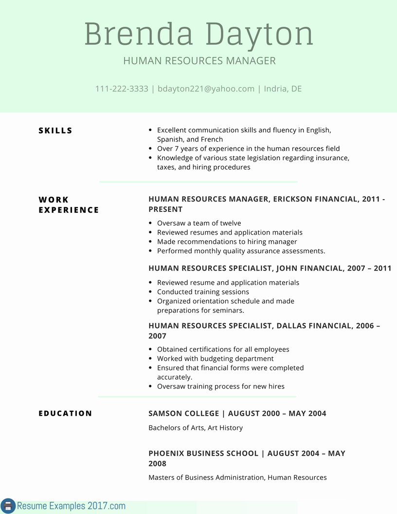 Remarkable Resume Examples Skills