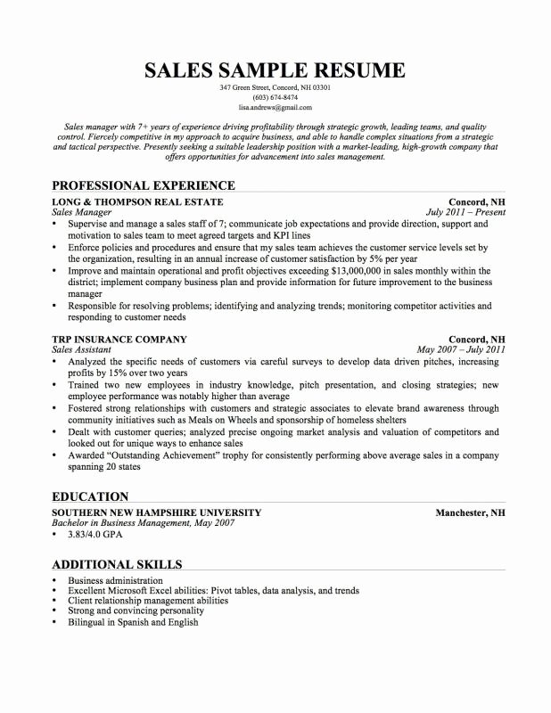 resume additional skills examples