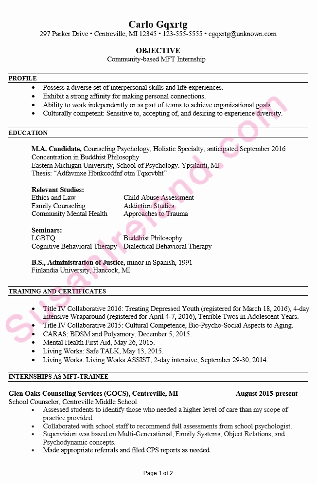 Resume Example for Mft Internship Susan Ireland Resumes