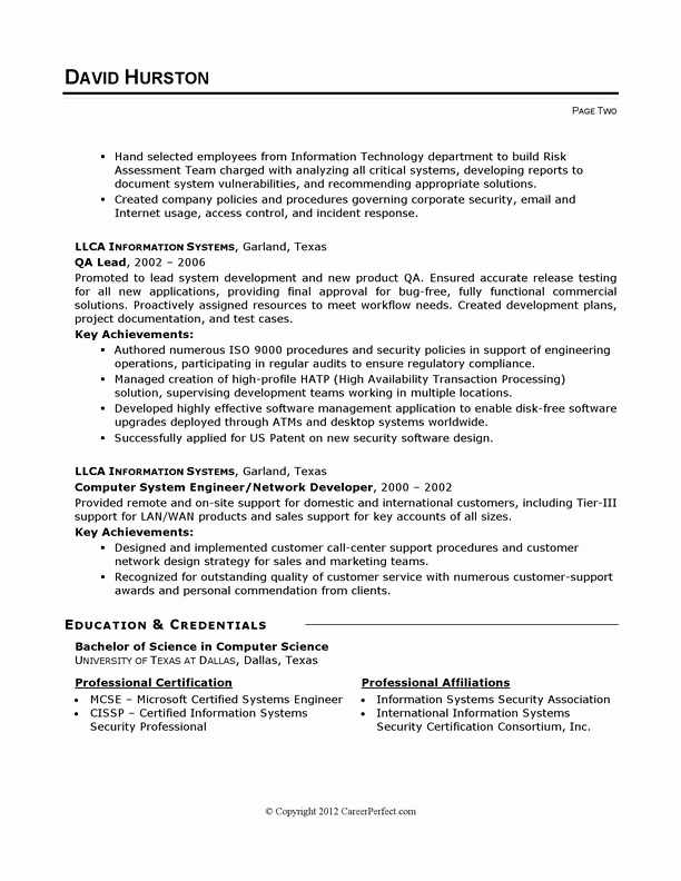 Resume Example It Security