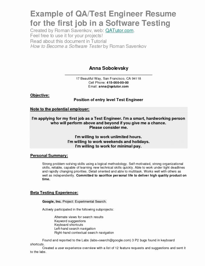 Resume Examples First Job