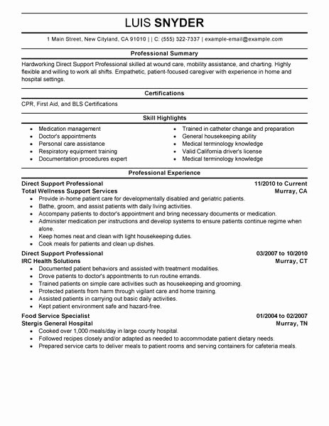 Resume Examples Healthcare Professionals