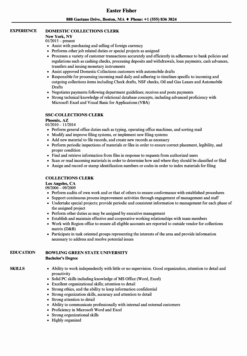 spreadsheet skills on resume